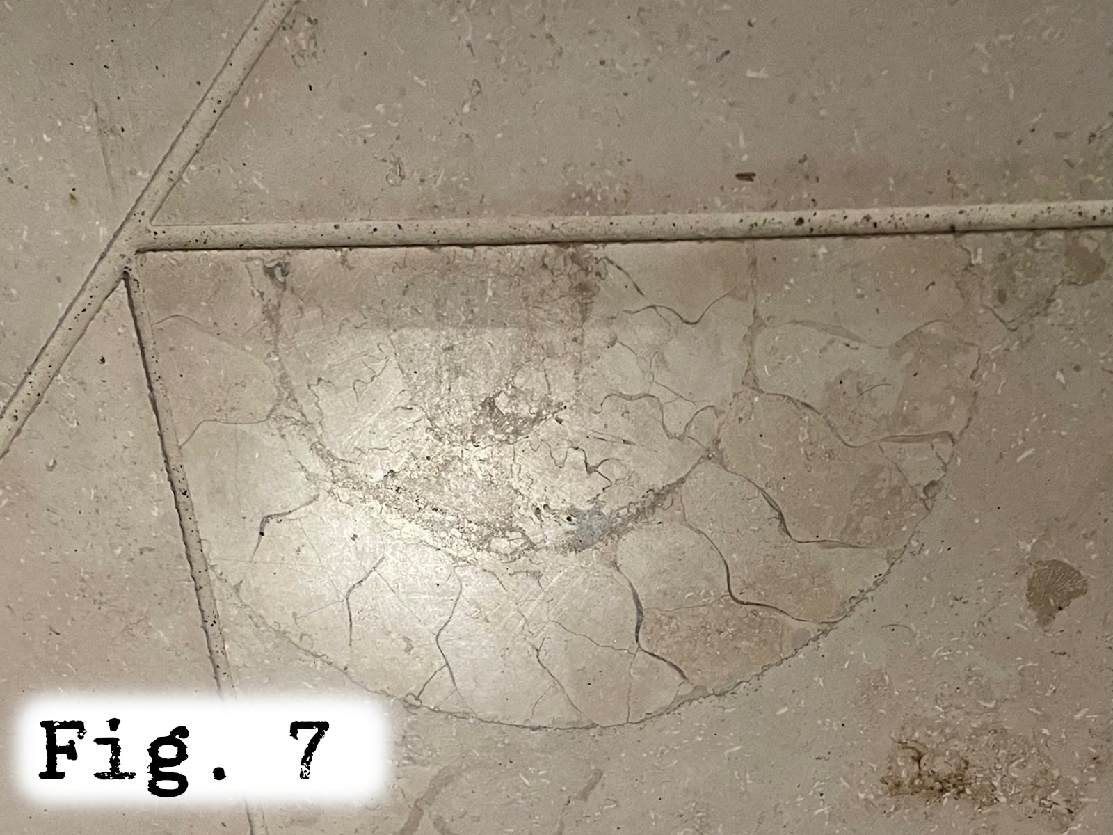 Fig.7