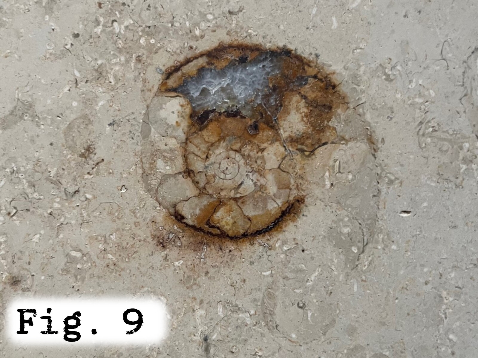 Fig.9
