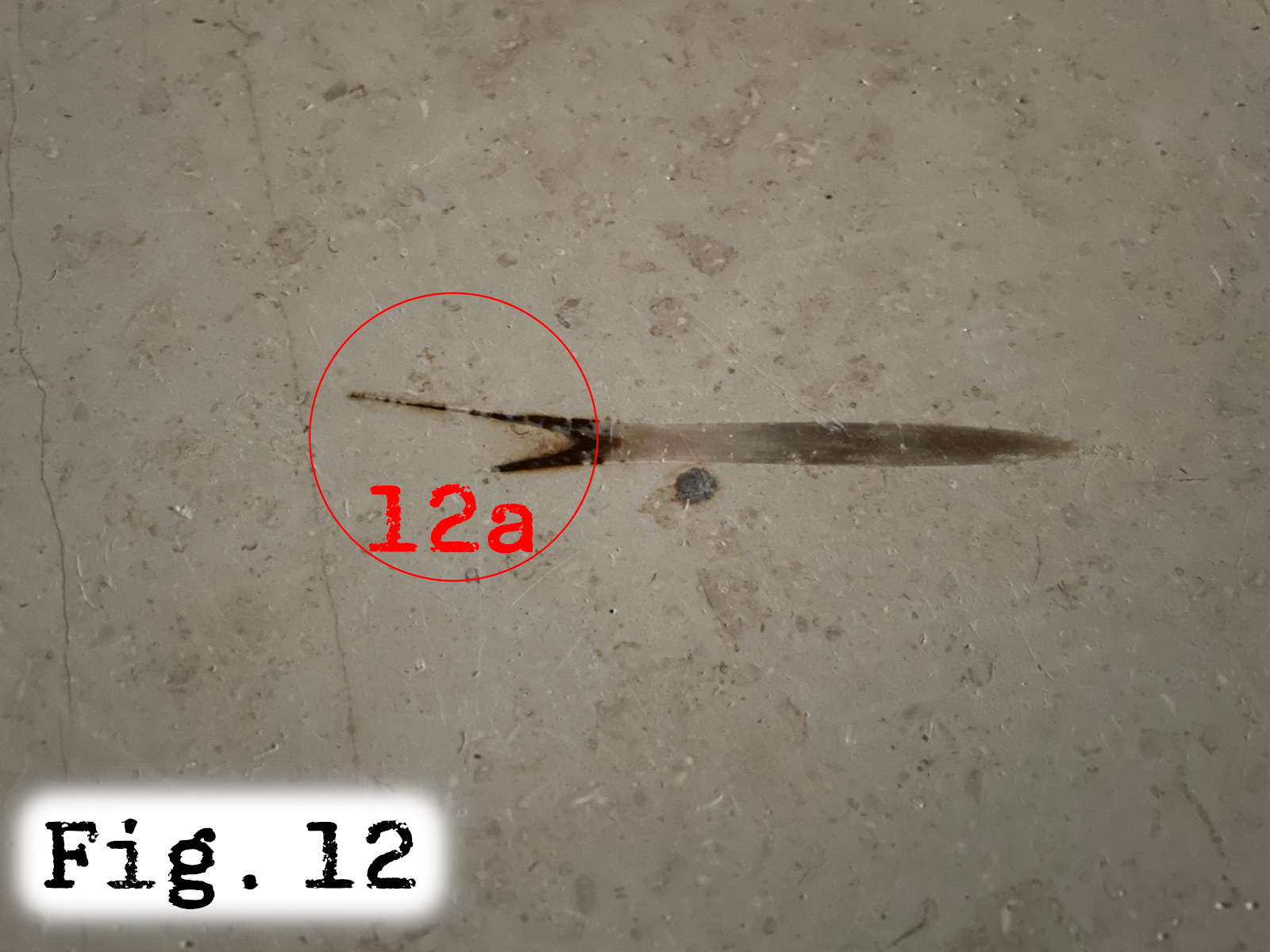 Fig.12