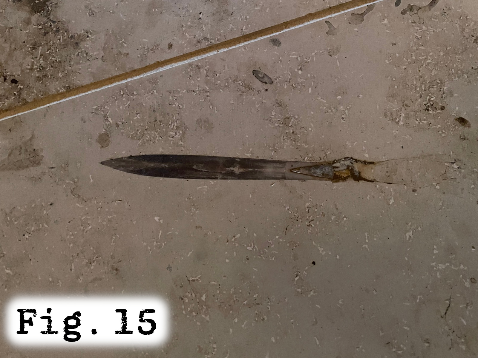 Fig.15