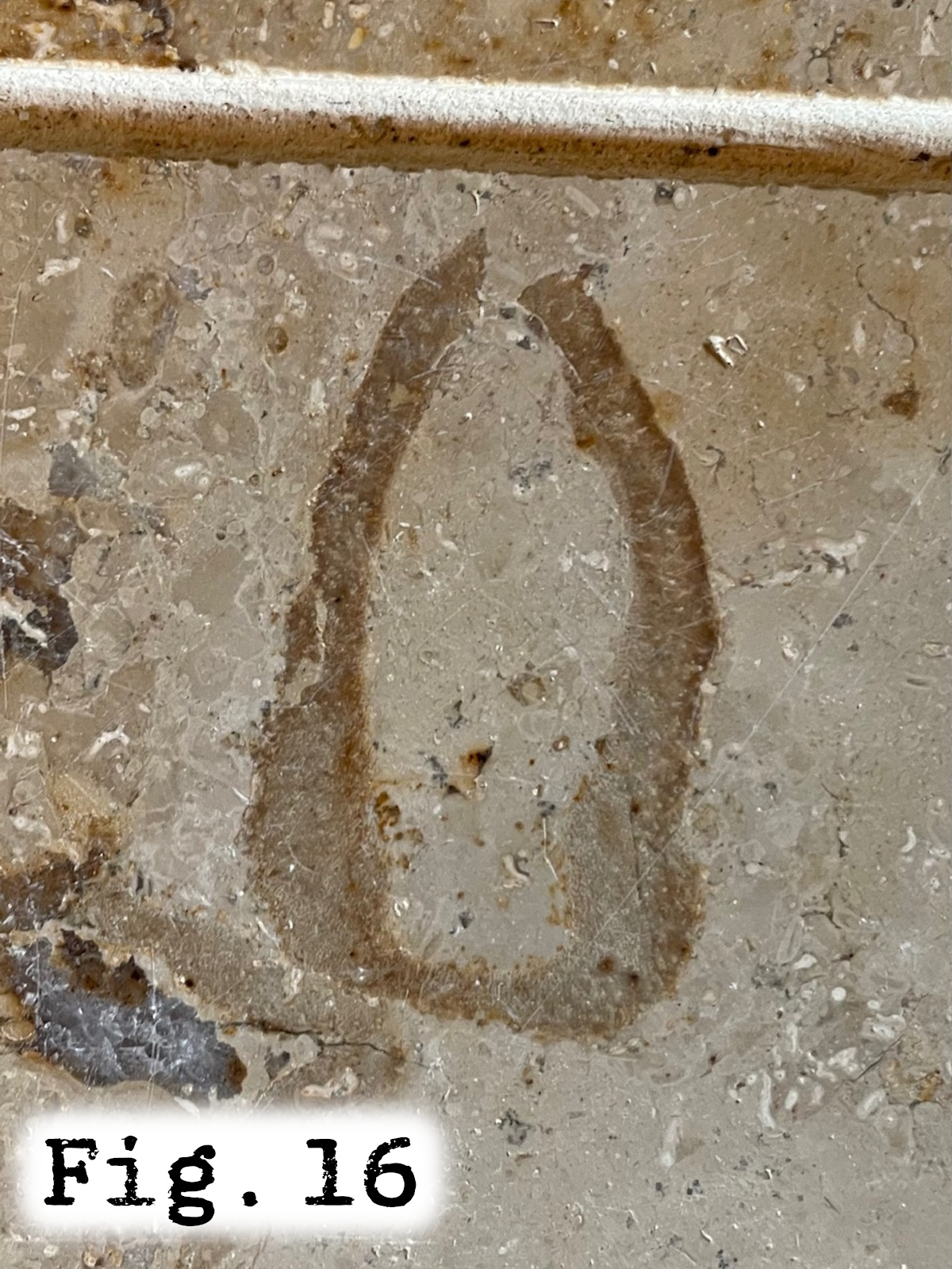Fig.16